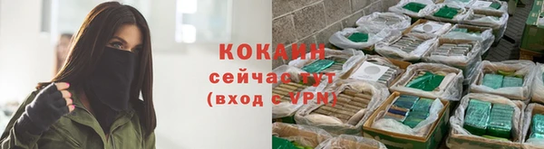 ECSTASY Абаза