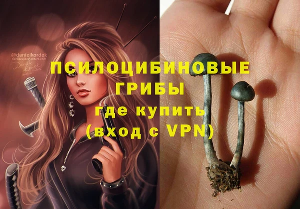 дурь Абинск
