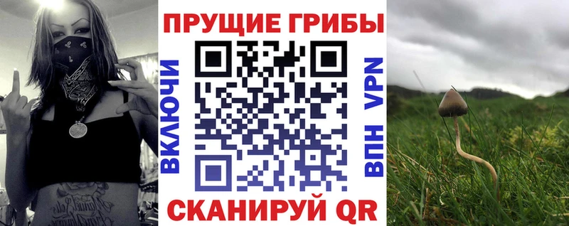 Галлюциногенные грибы Magic Shrooms закладка kraken ONION Шенкурск